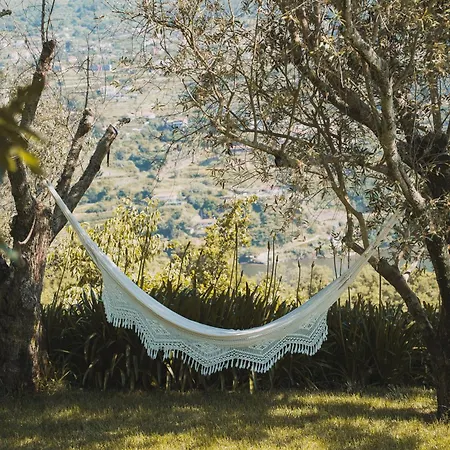 Casa Da Mouta - Douro Valley