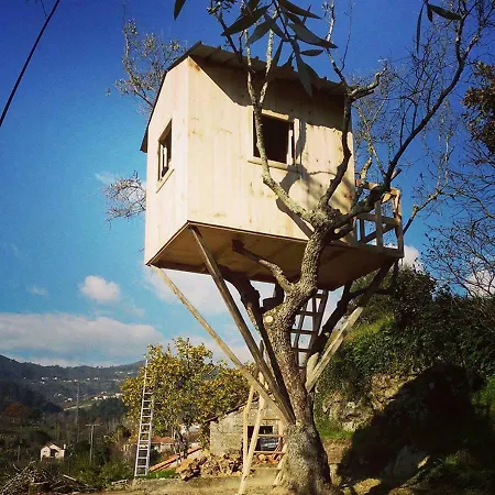Casa Da Mouta - Douro Valley Casa de Férias