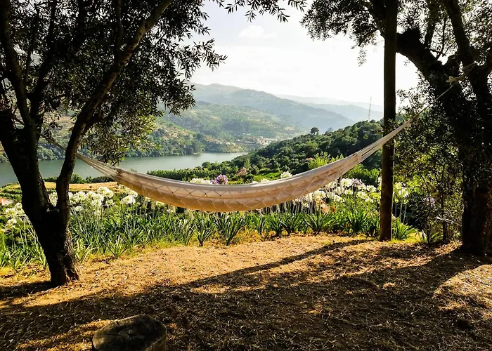 Casa Da Mouta - Douro Valley